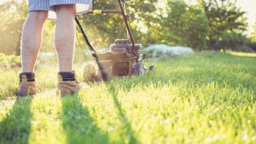 Mowing and Edging Your South Carolina Lawn: A Guide to Lushness